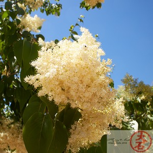 ABQ BioPark IMG_8861