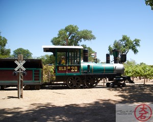 ABQ BioPark IMG_8917