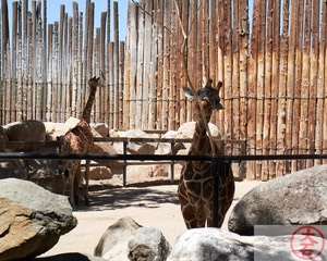 ABQ BioPark IMG_8961