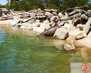 ABQ BioPark IMG_8963