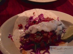 Fish Taco, South Beach Bar