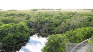 View from the Shark Valley Tower