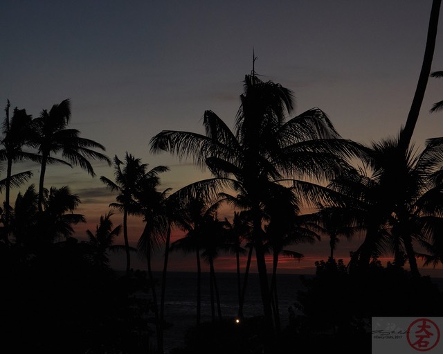 Waikoloa- Palms at Sunset